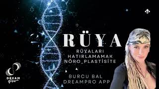 🌙 Rüya Görmediğini Sanıyorsun Bilinç, Bellek Ve Ruhun Uykudaki Uyanışı
