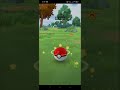 Catch Pikachu✨ Background #pokemongo