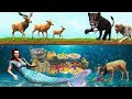 पानी में जलपरी का ढाबा और हिरण Mermaid and Deer Story Pani Me Jalpari Ka Dhaba Aur Hiran Ki Kahani