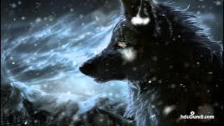 Most Epic Music Ever: 'The Wolf And The Moon' — BrunuhVille