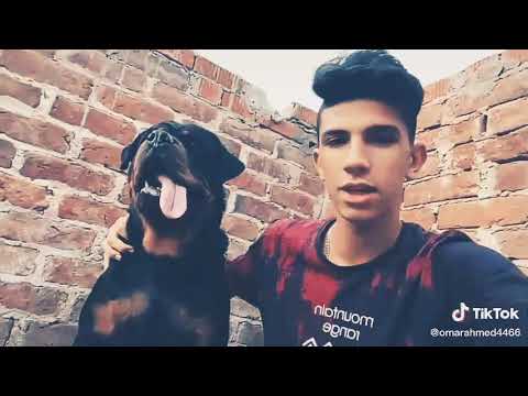 حالات واتس عمر أحمد وبوتشر يا أندال يا ولاد الفجره 