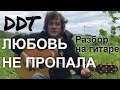 Антон Мизонов - разбор гитарного кавера ДДТ - Любовь не пропала