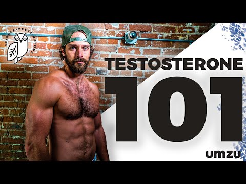 testosterone-101:-how-to-increase-testosterone,-lh,-and-fsh