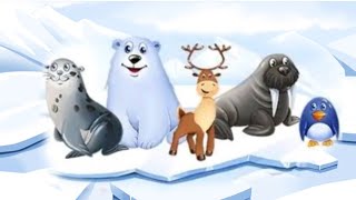 Животные Арктики и Антарктики для детей Животные севера