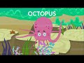 Learn about Octopus  | Body Parts and Structure | Video for Kids