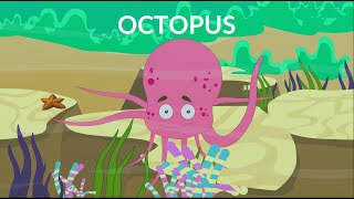 Learn about Octopus | Body Parts and Structure | Video for Kids