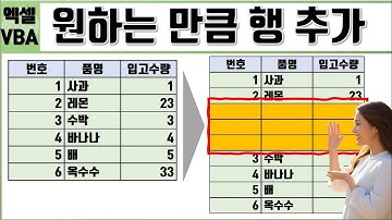 VBA 원하는 행에 원하는 만큼 행 추가하는 방법