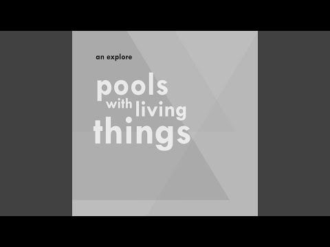 An Explore — Pools With Living Things