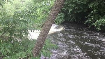 جزء عم | سورة البروج | سعيد الخطيب