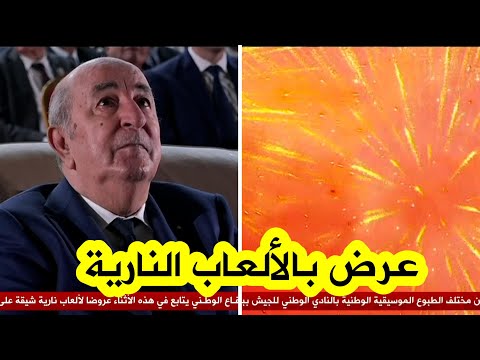 شاهد الرئيس تبون يترأس حفل إحياء الذكرى 71 لاندلاع ثـ ـورة التحرير المجيدة بالنادي الوطني للجيش 