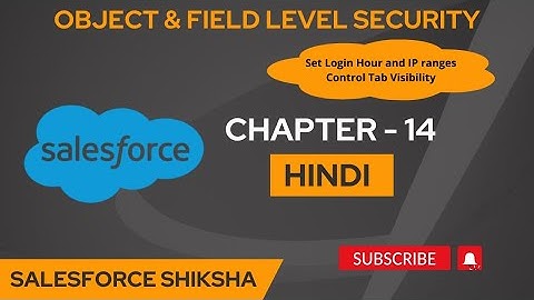 Object & Field Level Security in Salesforce - Chapter 14 [Hindi]