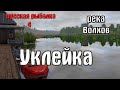 Русская рыбалка 4(рр4/rf4) - река Волхов. Уклейка.