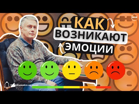 КАК ВОЗНИКАЮТ ЭМОЦИИ?