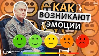 КАК ВОЗНИКАЮТ ЭМОЦИИ?