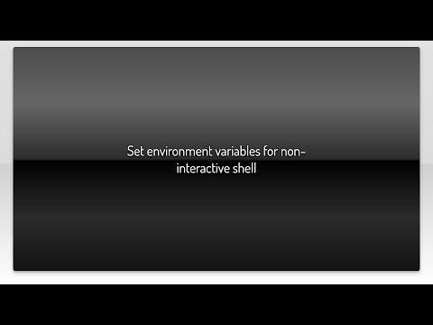 Set environment variables for non-interactive shell