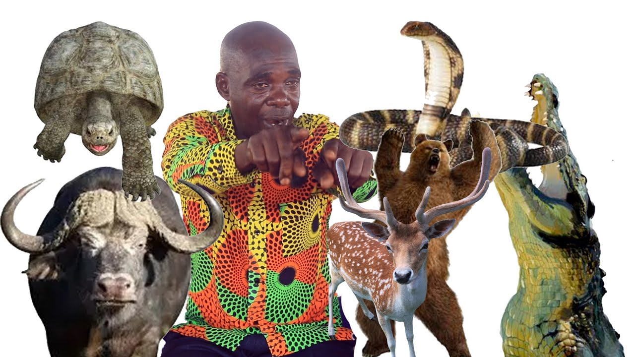 Eeiii, WONDERS ,''Á Hunter who dared to challenge witchcraft in the heart of forest.