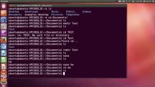 Linux Terminal commands and navigation for Beginners