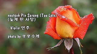 Neutgeh Pin Sarang (Too Late) (늦게 핀 사랑) / Violin 연주 & photo by 모모수계