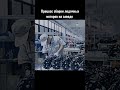 Это похоже на LA, но это BAIKAL, детка! #shorts