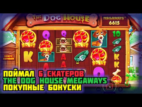 ПОЙМАЛ 6 СКАТЕРОВ. Покупные бонуски слот The Dog House Megaways. Топ заносы недели в казино онлайн.