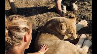 Zakopané & Zoo Kontakt - Október 2019 4K