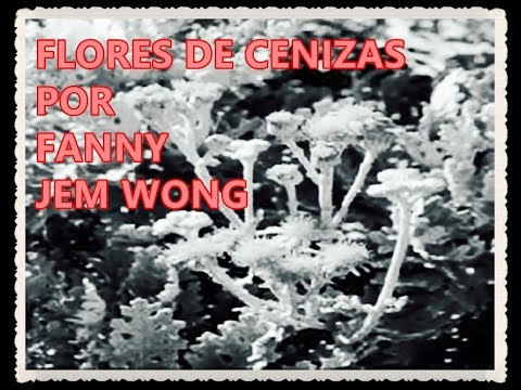 FLORES DE CENIZAS POR FANNY JEM WONG