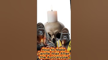 How to Make Candle Wax After the Apocalypse