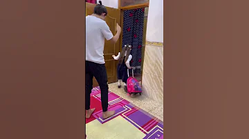 باعو شلون نايمه 