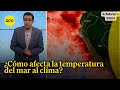 Así influye el Fenómeno El Niño en la temperatura de la costa