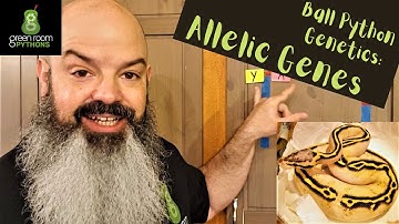 Ball Python Genetics: Allelic Genes