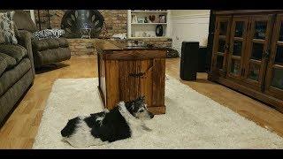 Building a Storage Trunk / Chest out of Pallets Making a chest or storage trunk out of pallets. Project was pretty easy and came out looking like a high end piece of handmade