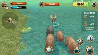 Wild Bear Simulator 3D Android Gameplay #4 screenshot 4