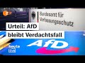 Warum die AfD rechtsextremistischer Verdachtsfall bleibt – Analyse bei ZDFheute live