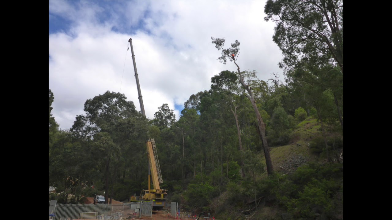 Dangerous Tree Removal - Crane Assisted - YouTube