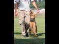 Airedale Terrier IGP 1 の動画、YouTube動画。