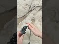 Figure 8 Knot with Carabiner | Step-by-Step Guide#Double figure eight#knot #outdoorskills