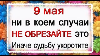 9 мая Глафира Горошница, что нельзя делать. Народные традиции и приметы. *Эзотерика Для Тебя*