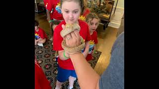 Tutor Time Melville Adventure Camp July 22, 2019