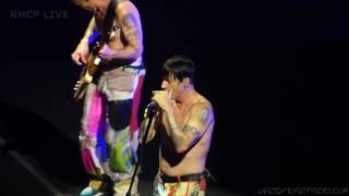 Red Hot Chili Peppers - This Ticonderoga (Tour Debut)[Multi-Cam] - Madrid, 2016