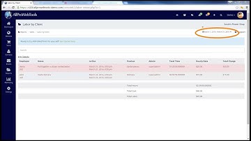 AllProWebTools 4.0 - Labor Invoices Explained