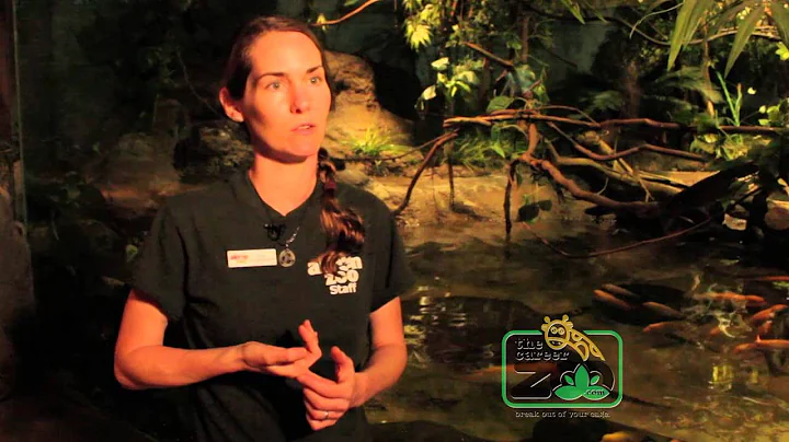 How to Land a Job at a Zoo