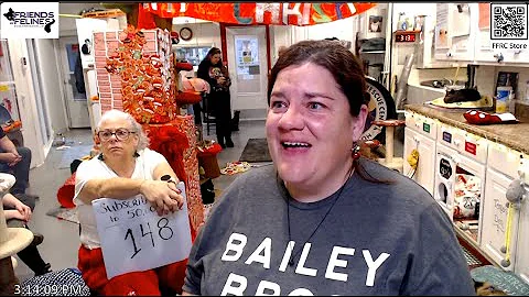 Kitty Christmas 2025 Part 5  Friends of Felines Rescue Center (FFRC)