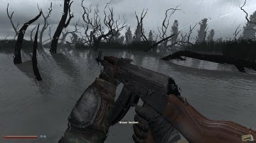 Stalker Anomaly 1.5.1 pROvAKs Weapon Overhaul AWO 2.5  immersive storm at swamp 4K  Max settings #10