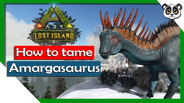 HOW TO TAME Amargasaurus! | ARK: Lost Island