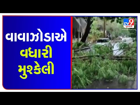 Cyclone Tauktae: Trees uprooted in parts of Surat due to heavy rain and wind | TV9News