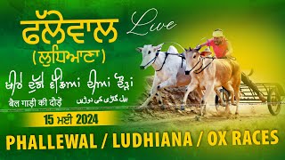 🔴[LIVE] PHALLEWAL (Ludhiana) OX RACES | ਖੀਰੇ-ਦੁੱਗੇ ਵੱਛਿਆਂ ਦੀਆਂ ਦੌੜਾਂ | बैलगाड़ी दौड़ | 15 May 2024