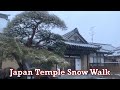 Japan Temple Snow Walk 2022.02.10 ASMR Ambience Sound Sleep Meditate Tokyo Suburb Snowfall Winter