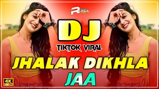 Jhalak Dikhla Ja Dj (Remix) | Ek Baar Aaja Aaja Dj | Hindi Dj Song 2025 | Hindi New Dj Song | Dj Gan
