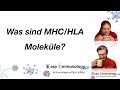 Season 8  folge 1 mhc allgemeine bersicht