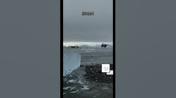 #shortvideo #القرآن #اكسبلور #اكسبلور_فولو #explore #تلاوة_خاشعة #تلاوة #quran